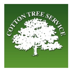 Cotton Tree Service